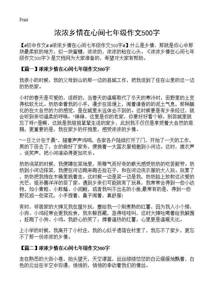 浓浓乡情在心间七年级作文500字