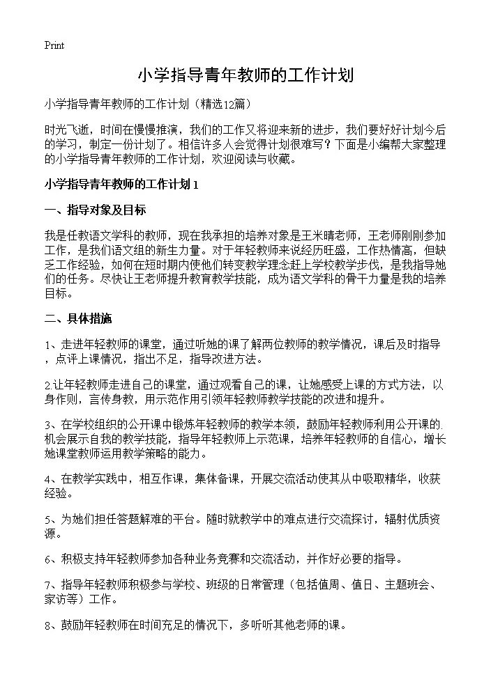 小学指导青年教师的工作计划12篇