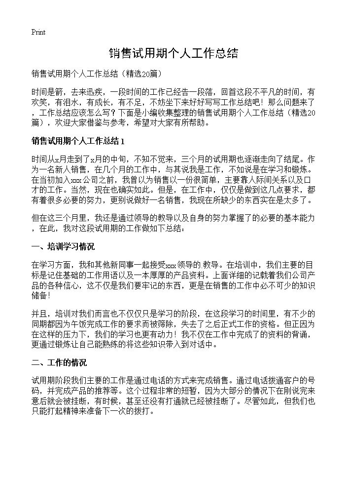 销售试用期个人工作总结20篇