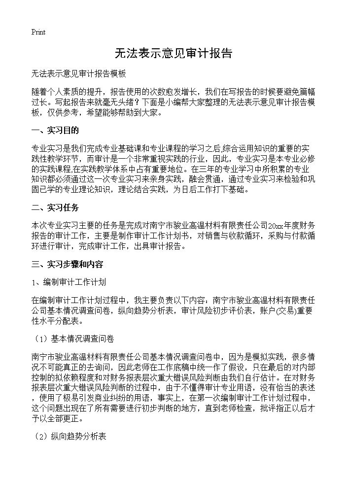 无法表示意见审计报告