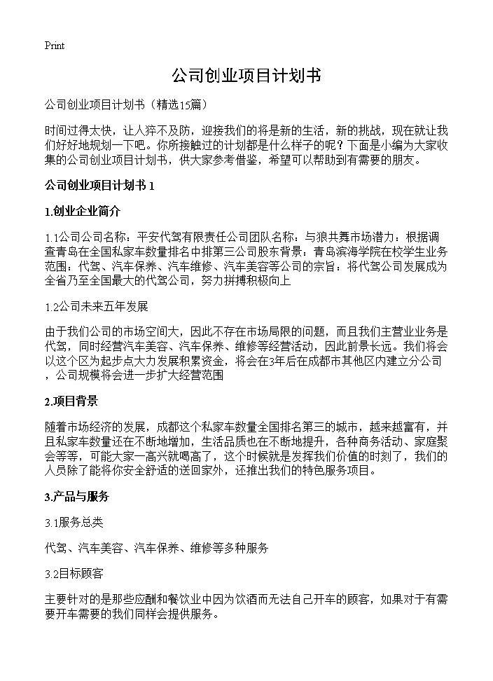 公司创业项目计划书15篇