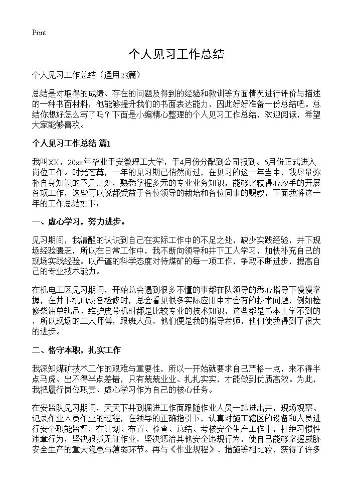 个人见习工作总结23篇