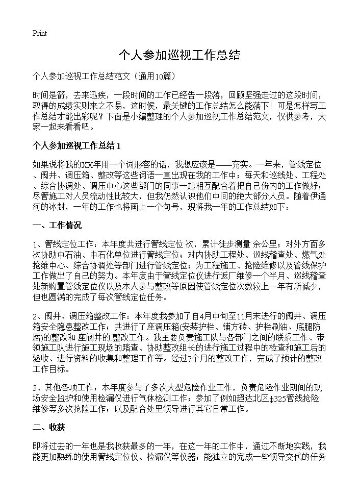 个人参加巡视工作总结10篇