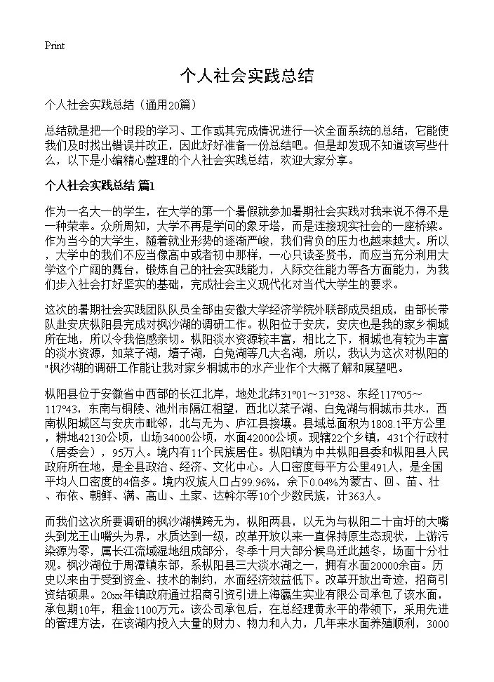 个人社会实践总结20篇