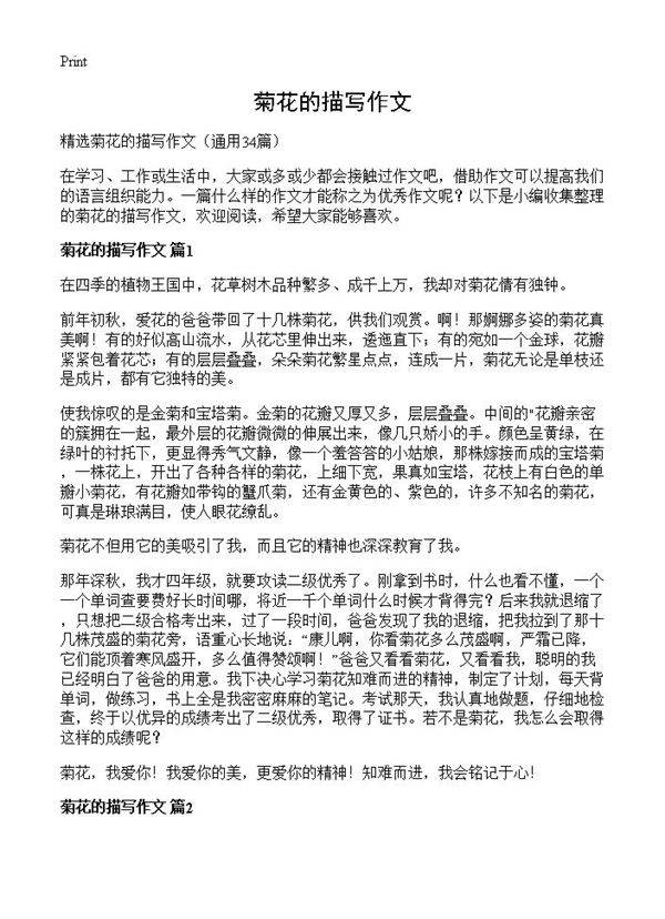 菊花的描写作文34篇