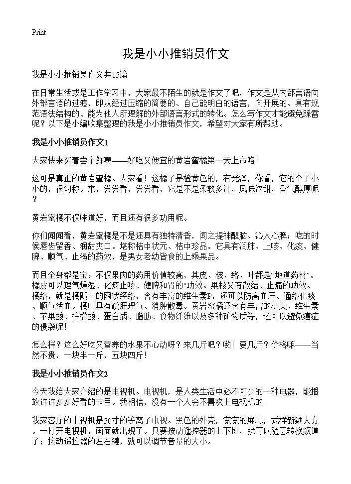 我是小小推销员作文