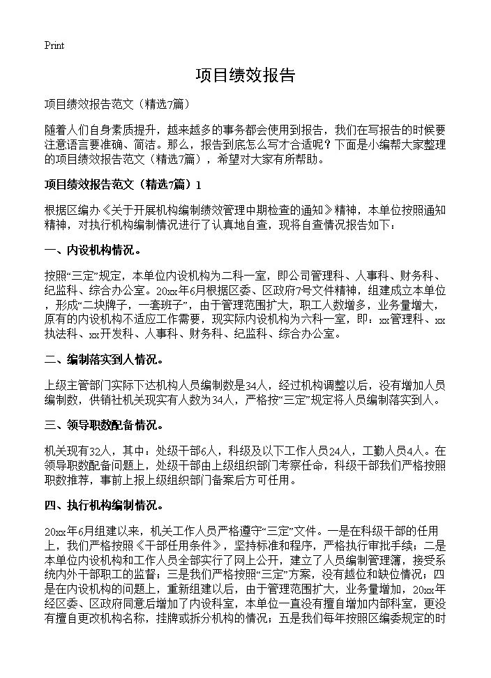 项目绩效报告7篇