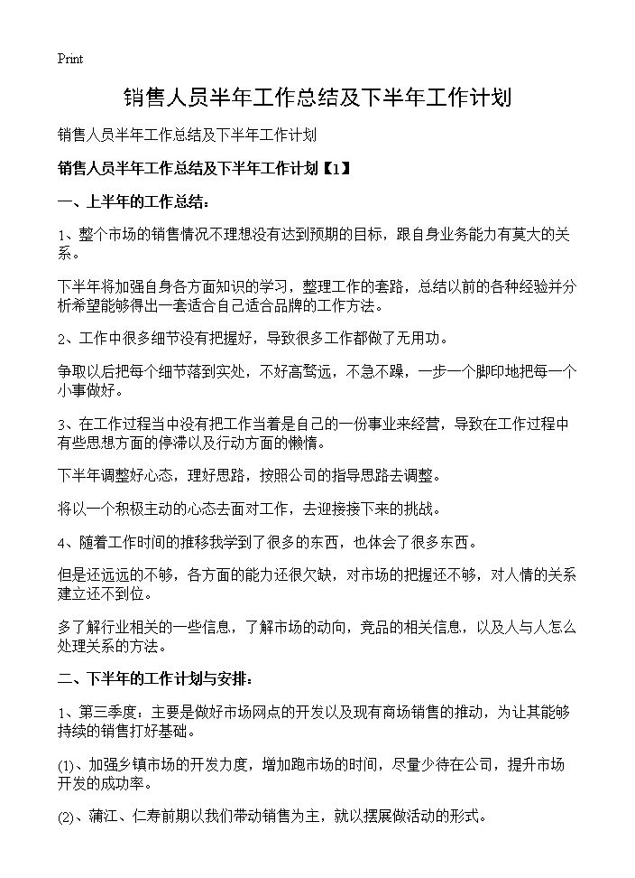 销售人员半年工作总结及下半年工作计划