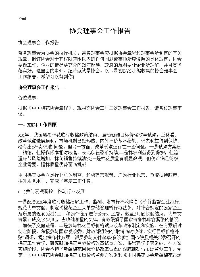 协会理事会工作报告