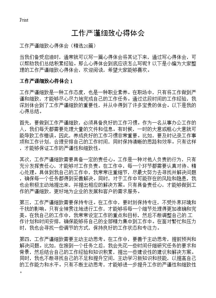 工作严谨细致心得体会20篇