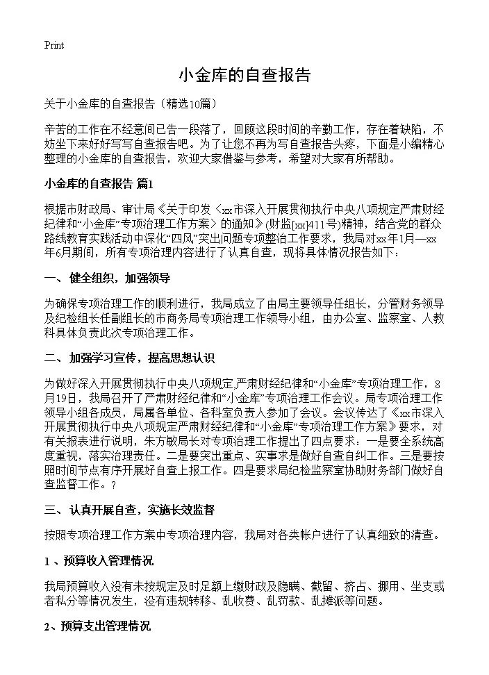 小金库的自查报告10篇