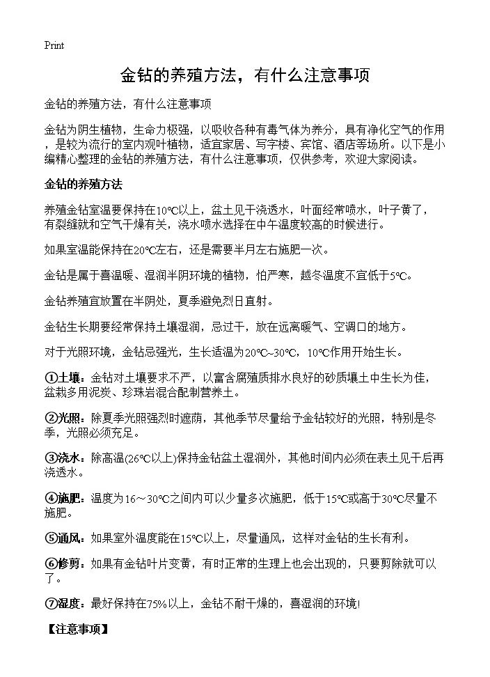 金钻的养殖方法，有什么注意事项