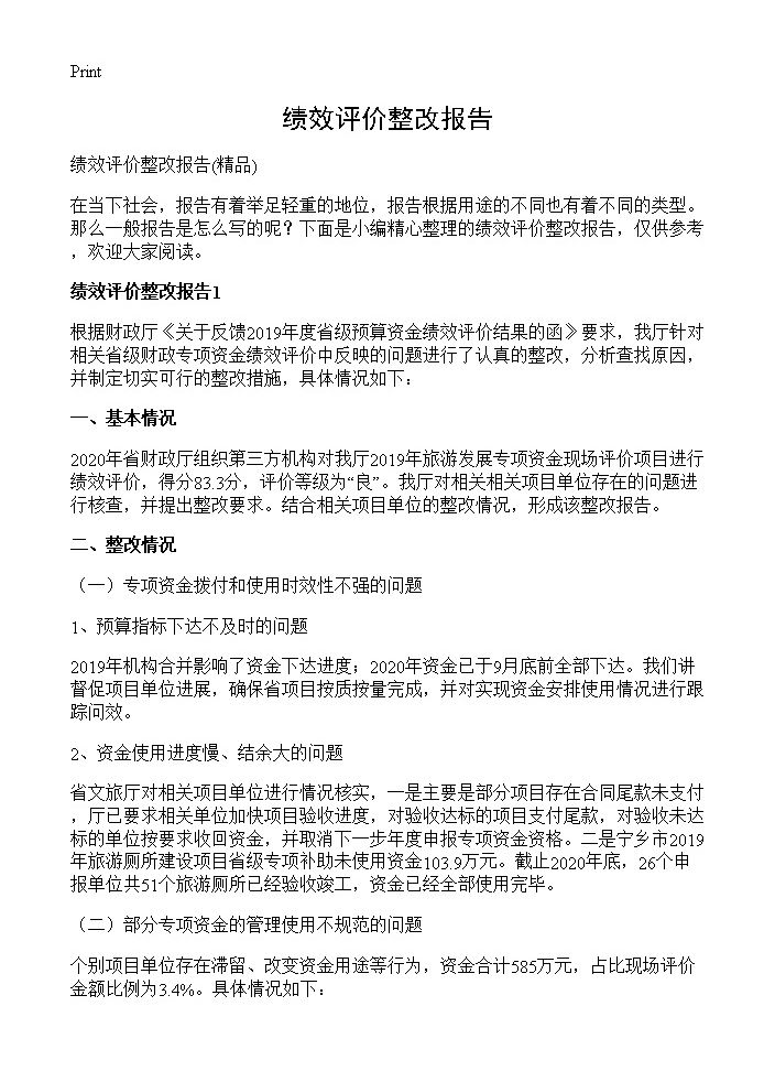 绩效评价整改报告