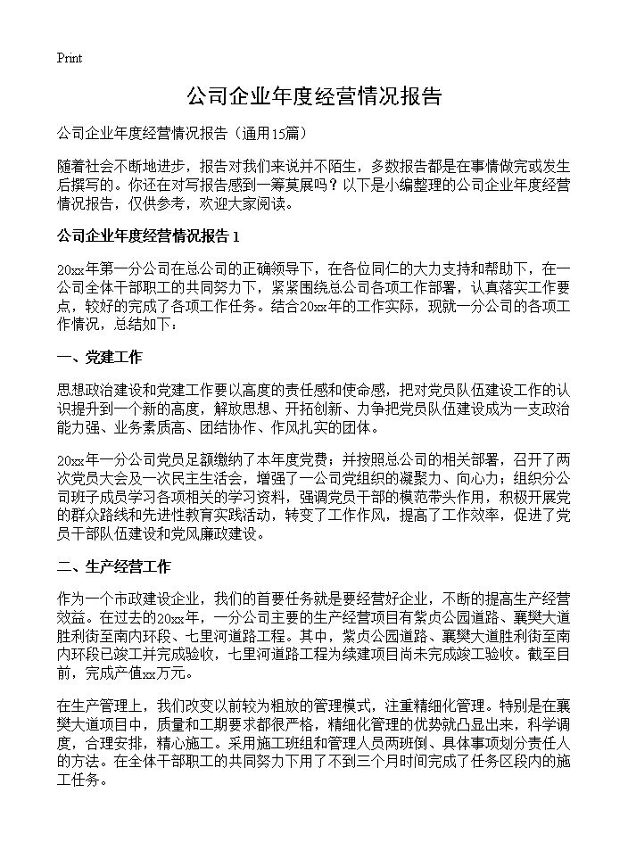 公司企业年度经营情况报告15篇