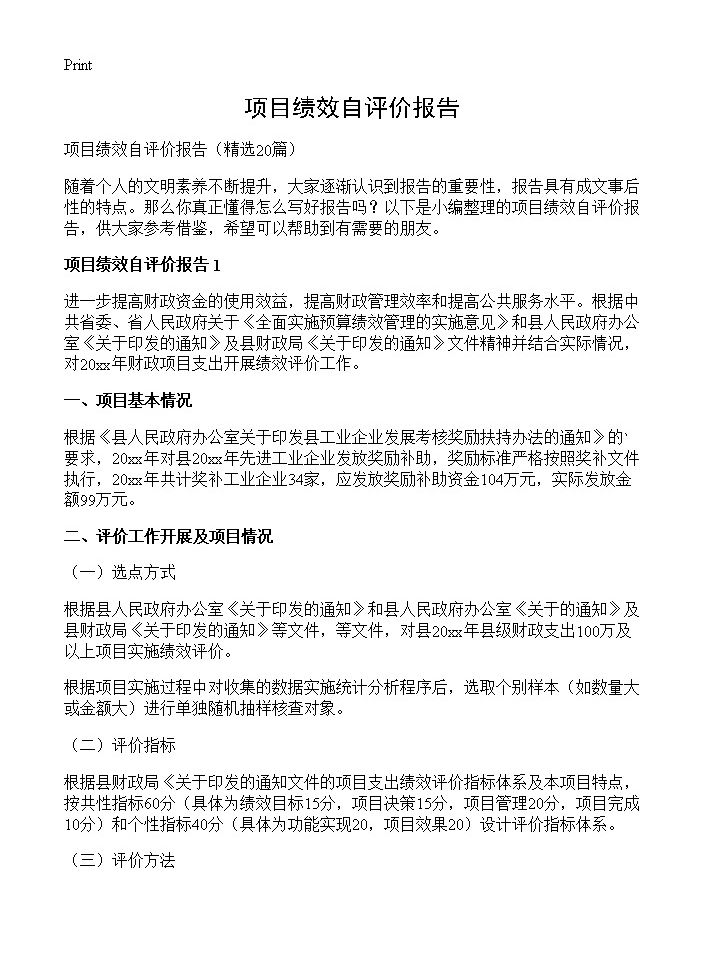 项目绩效自评价报告20篇