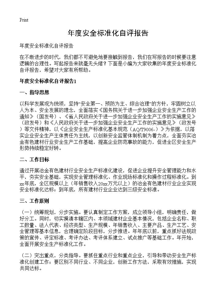 年度安全标准化自评报告