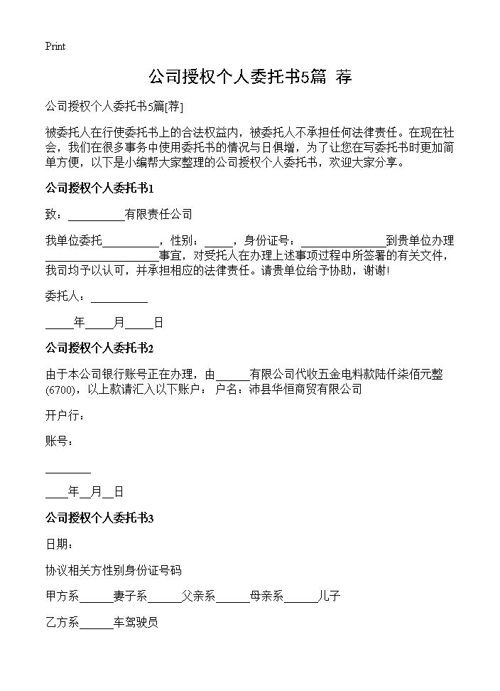 公司授权个人委托书5篇