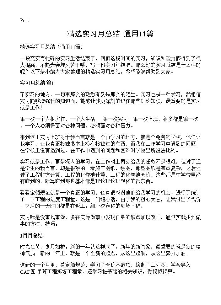 精选实习月总结11篇