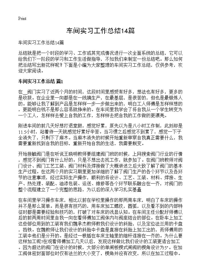 车间实习工作总结14篇