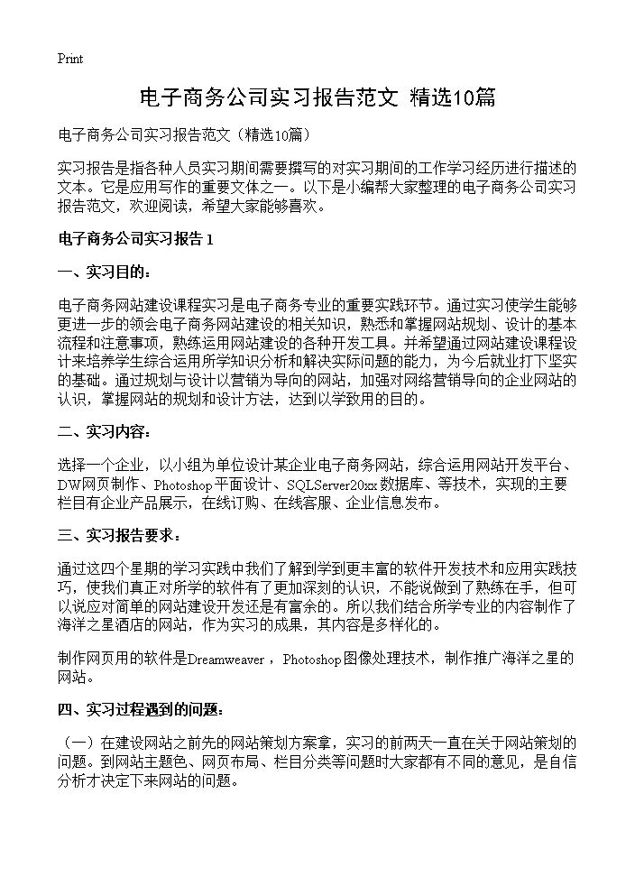 电子商务公司实习报告范文10篇