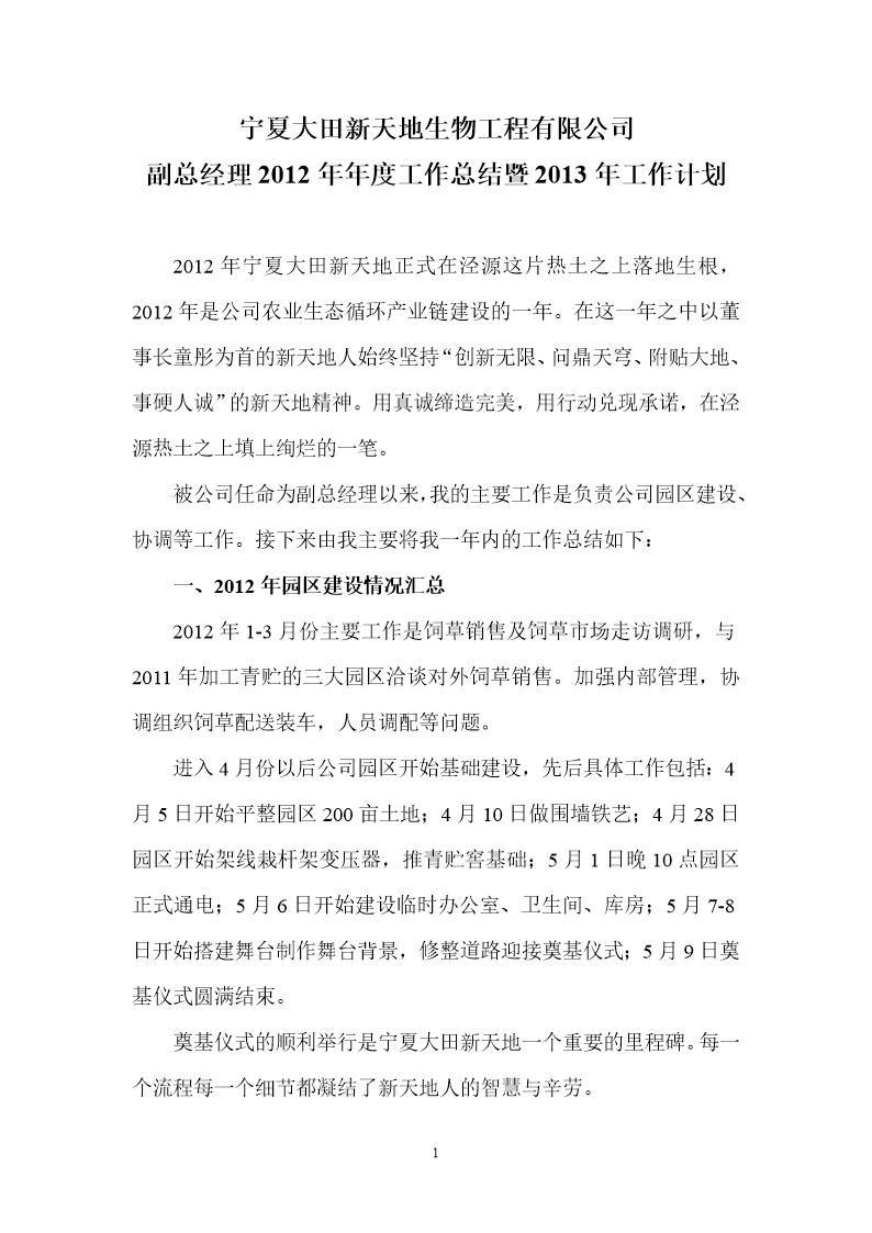 副总经理年度工作总结及计划