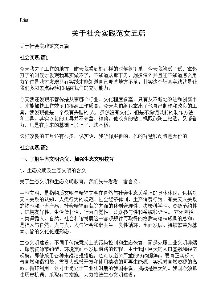 关于社会实践范文五篇