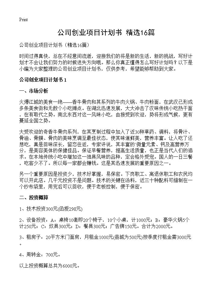 公司创业项目计划书16篇