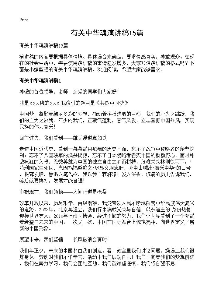 有关中华魂演讲稿 (共14页)