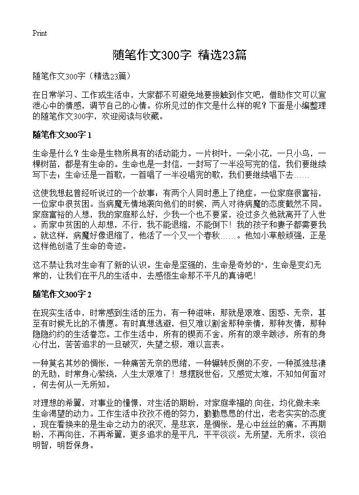 随笔作文300字23篇