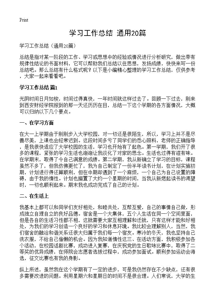 学习工作总结20篇