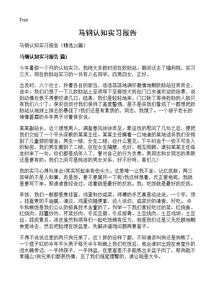 马钢认知实习报告20篇