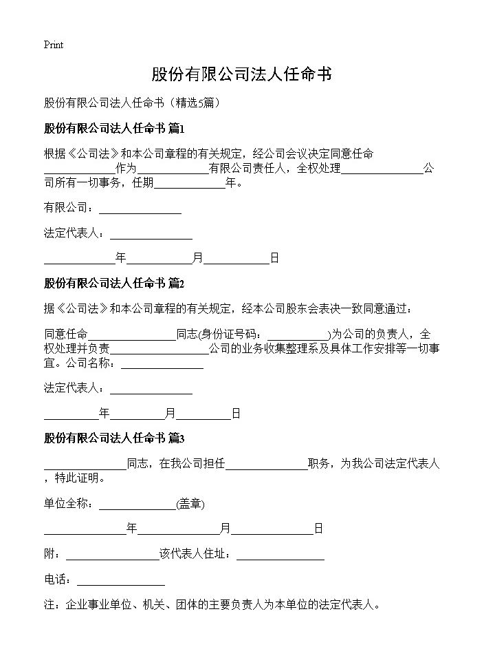 股份有限公司法人任命书5篇