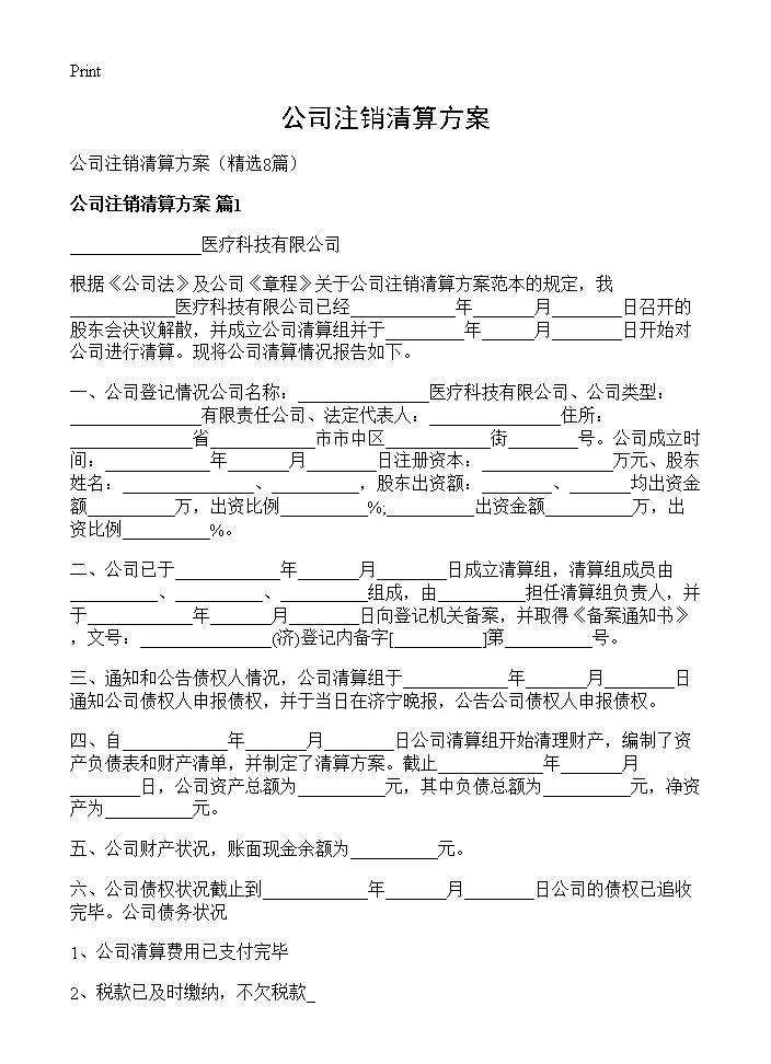 公司注销清算方案8篇