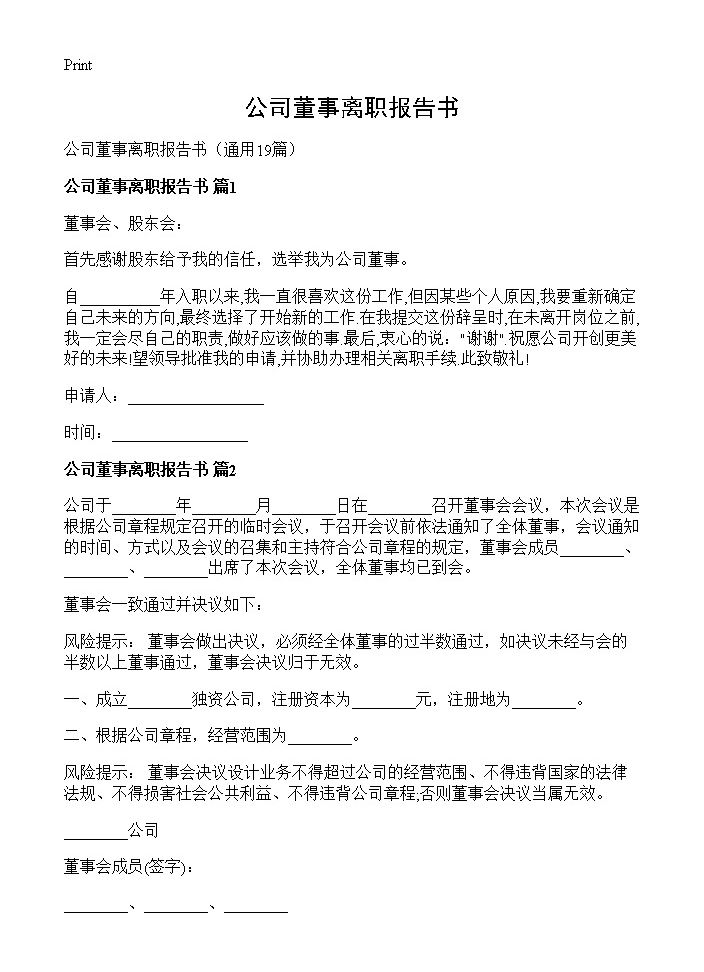 公司董事离职报告书19篇