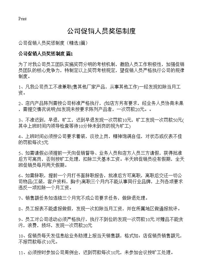 公司促销人员奖惩制度3篇