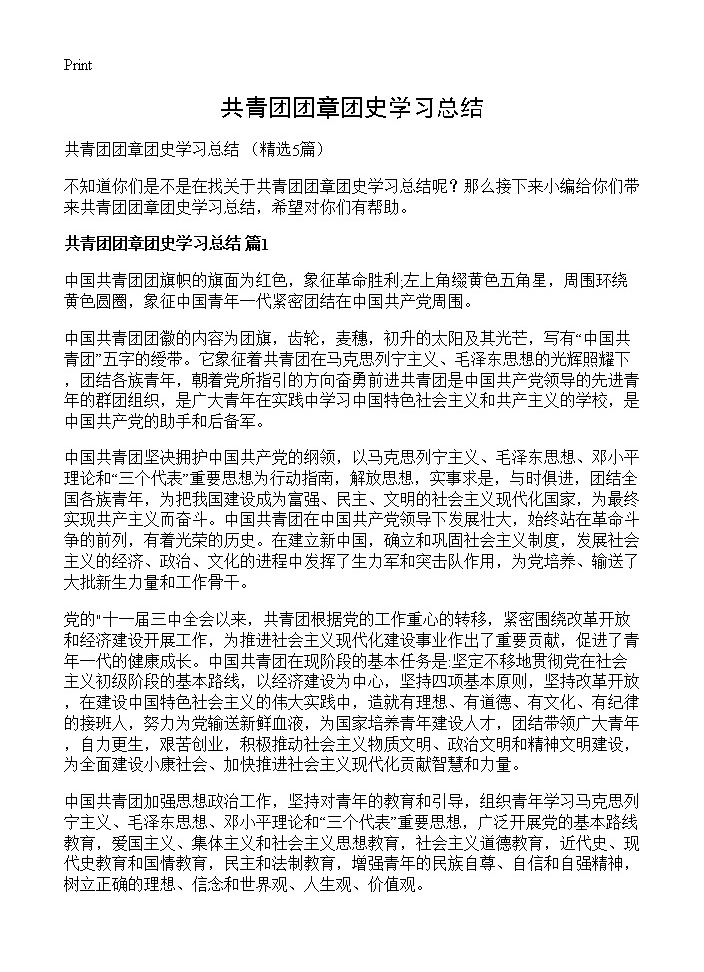 共青团团章团史学习总结5篇