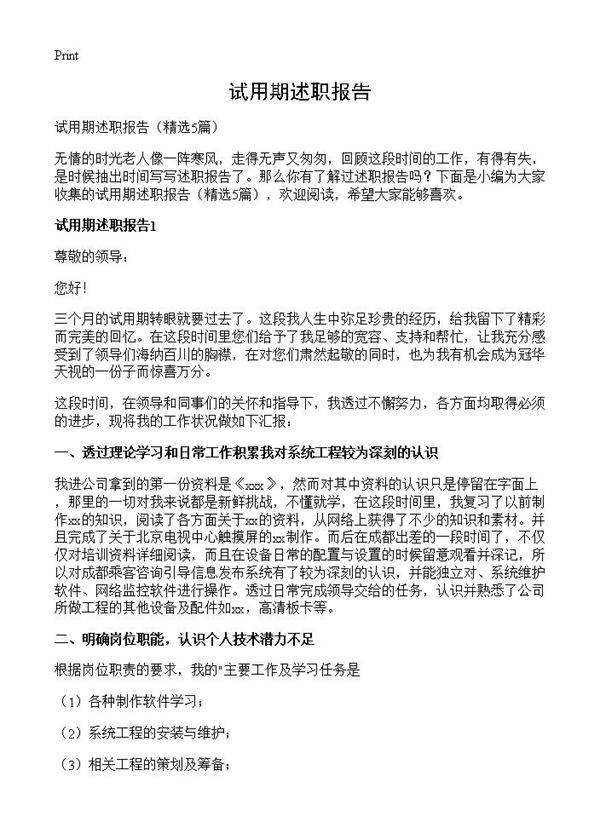 试用期述职报告5篇