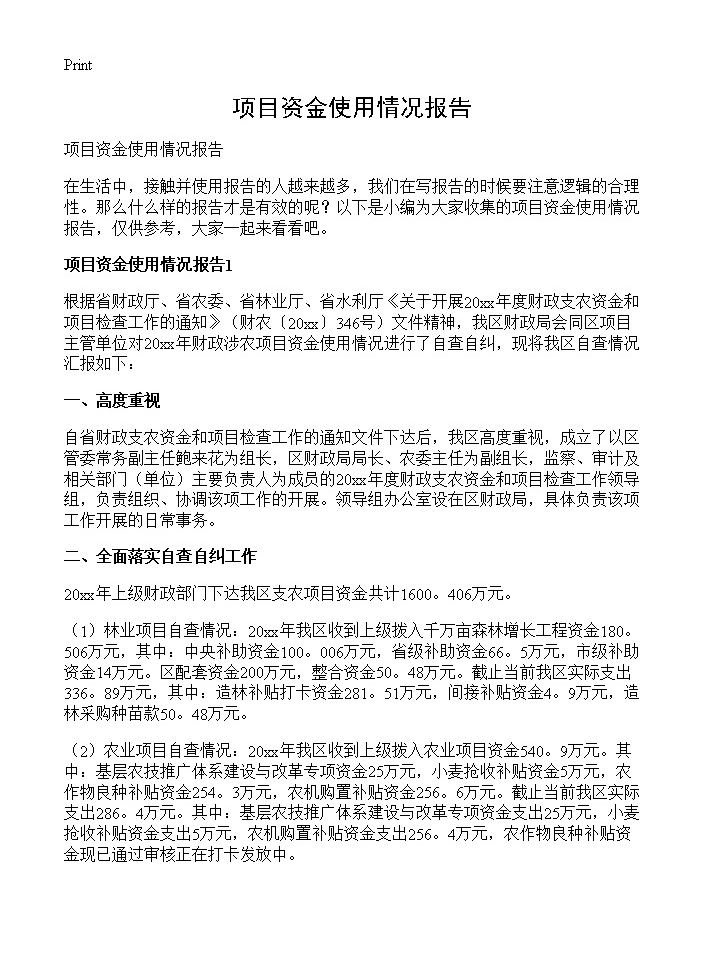 项目资金使用情况报告