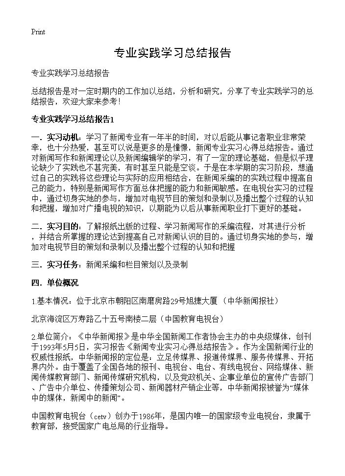 专业实践学习总结报告