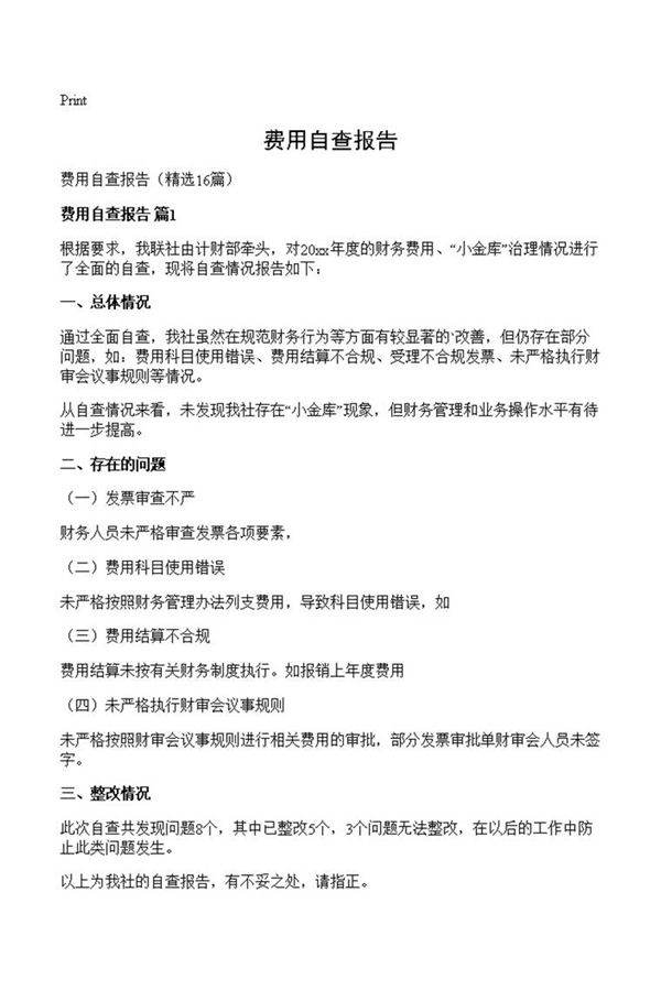 费用自查报告
