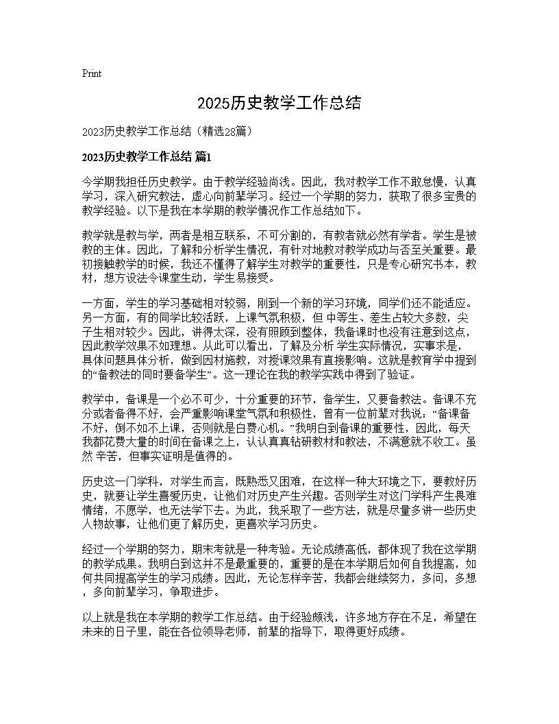 2025历史教学工作总结28篇