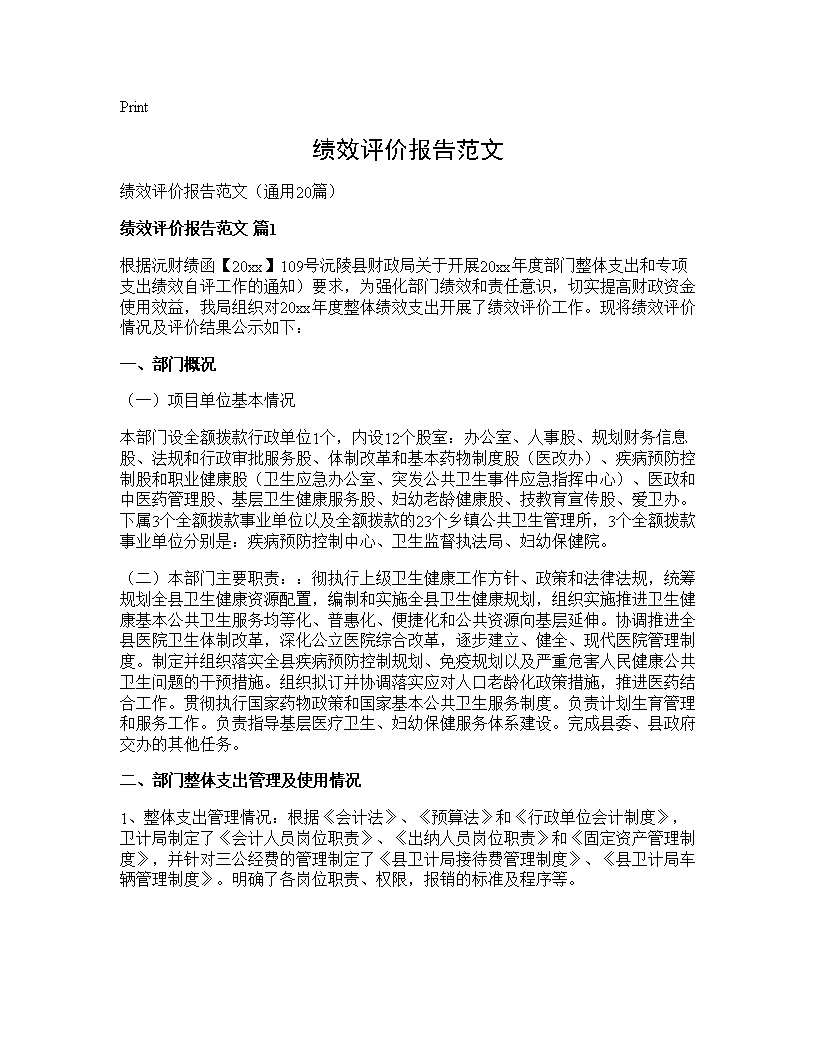 绩效评价报告范文20篇