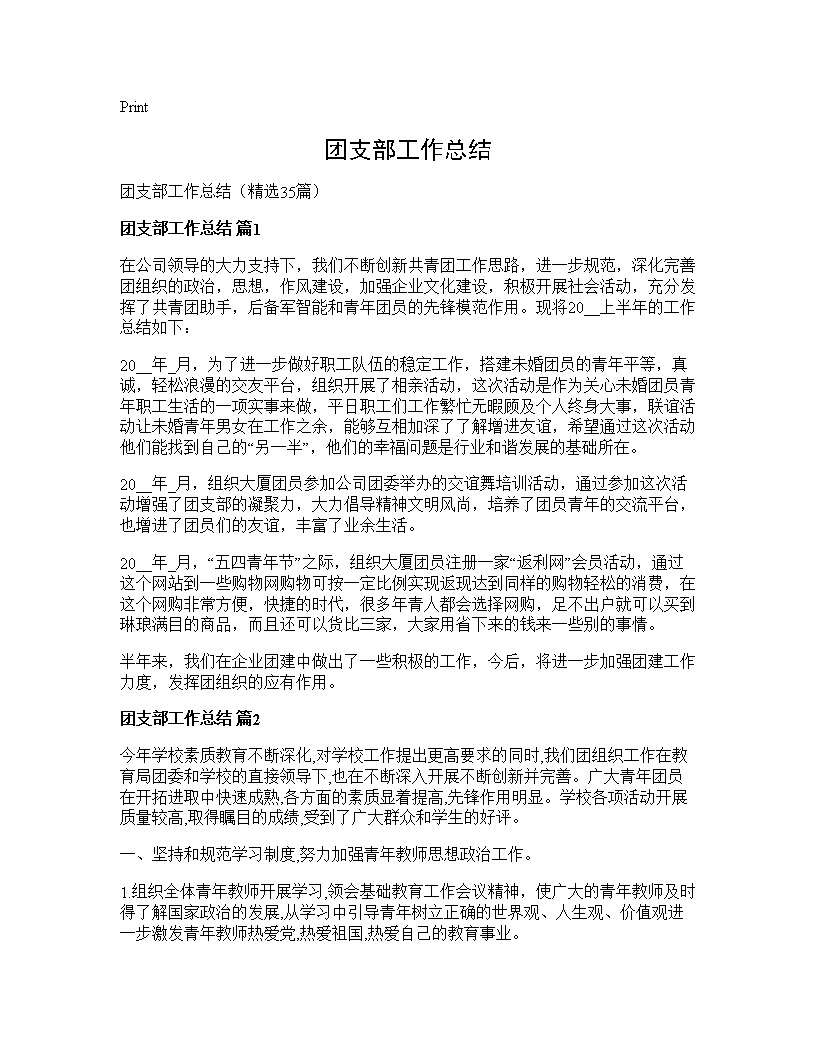 团支部工作总结35篇