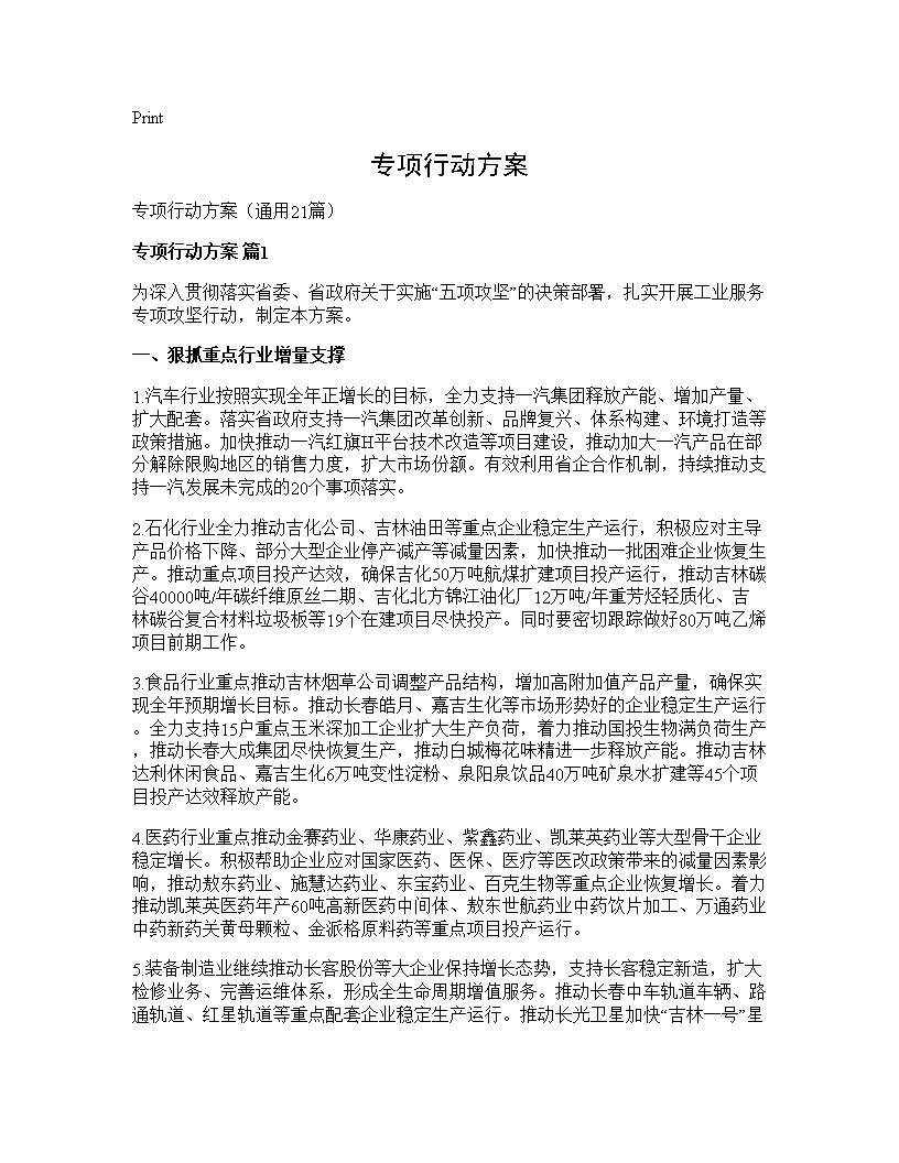 专项行动方案21篇