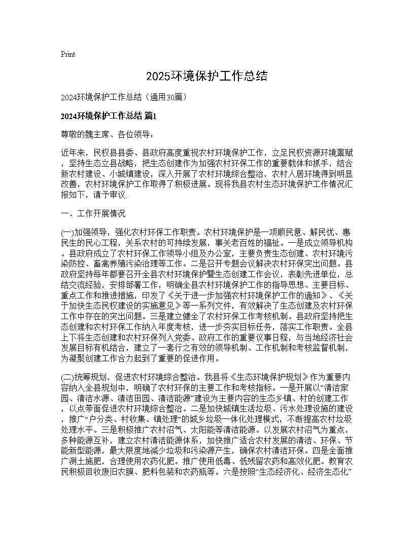 2024环境保护工作总结30篇