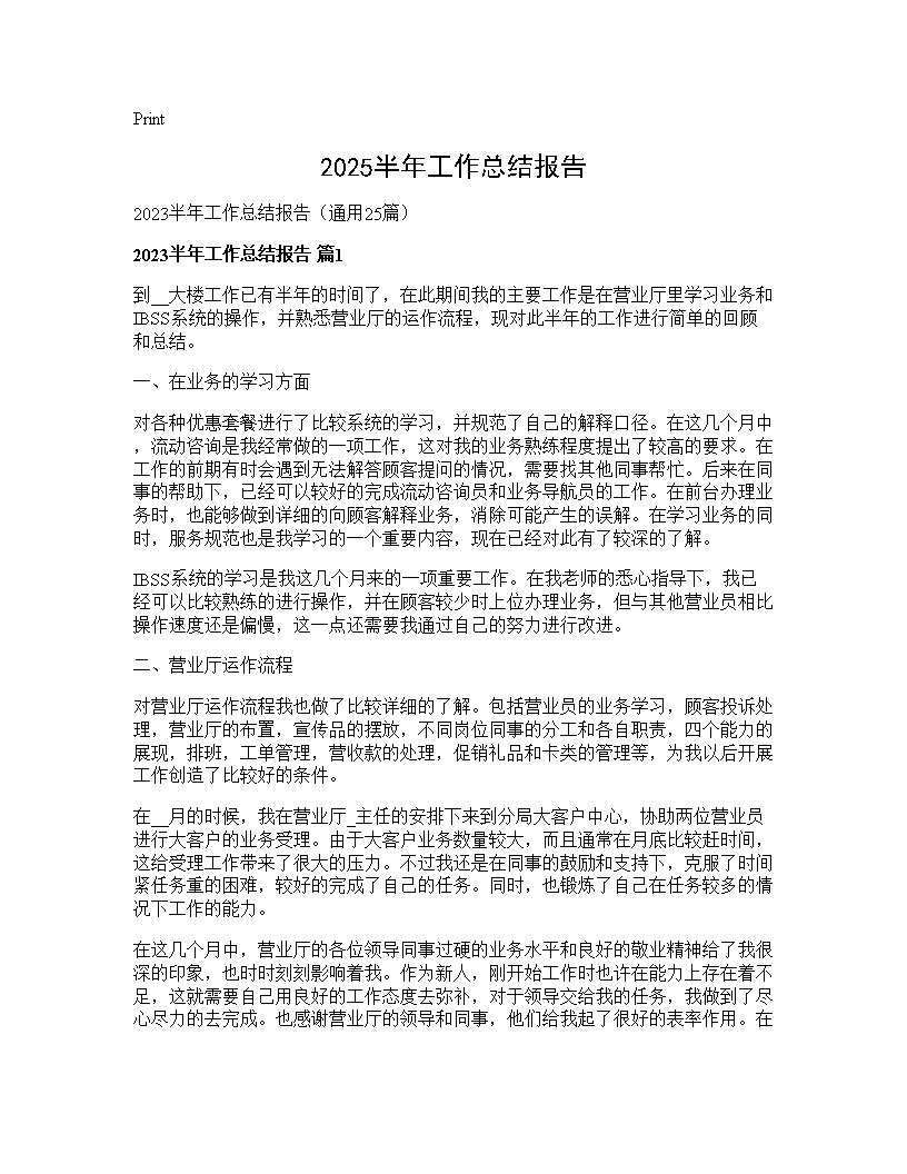 2025半年工作总结报告25篇