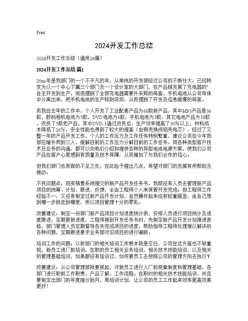 2025开发工作总结24篇