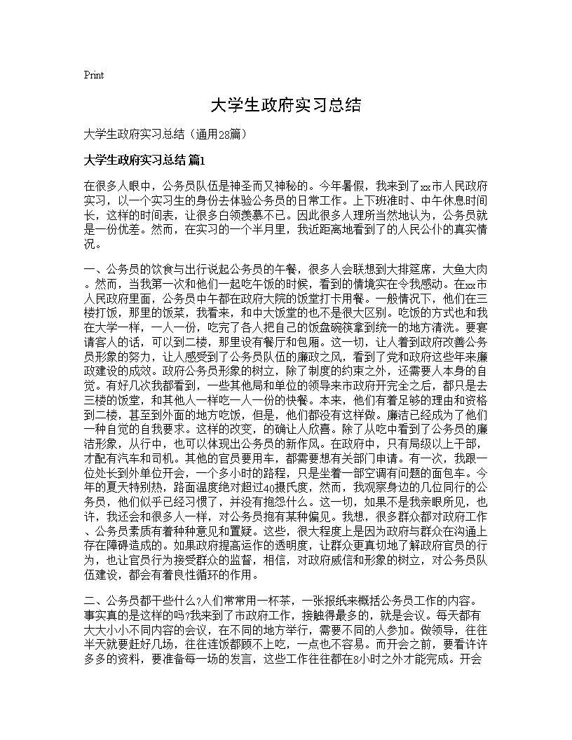 大学生政府实习总结28篇