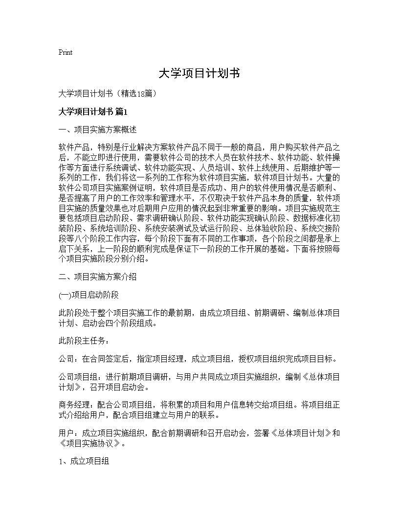 大学项目计划书18篇