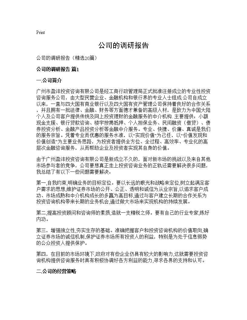 公司的调研报告 (共32页)